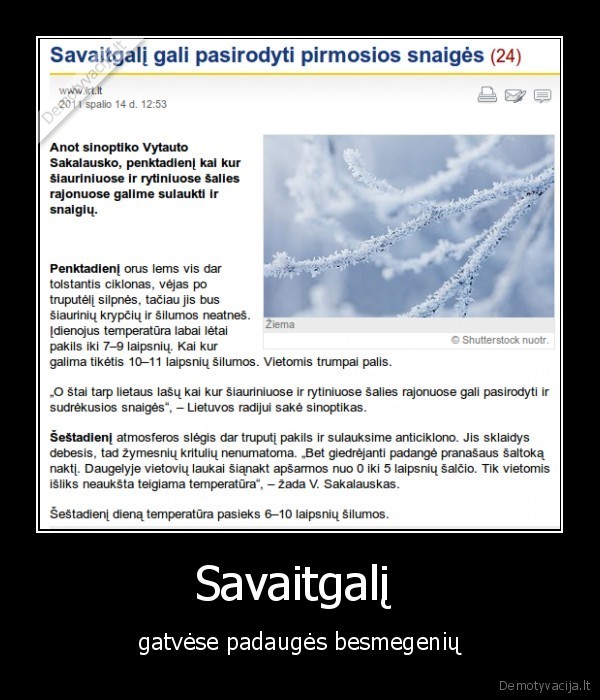 Savaitgalį 