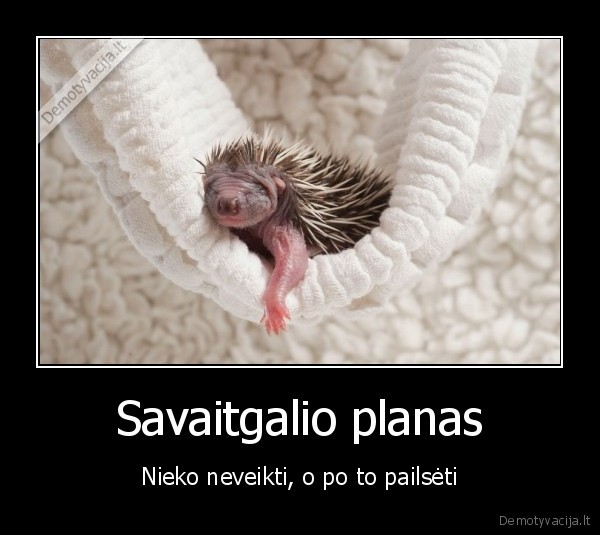 Savaitgalio planas