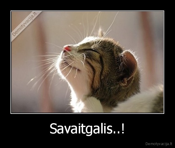 Savaitgalis..!