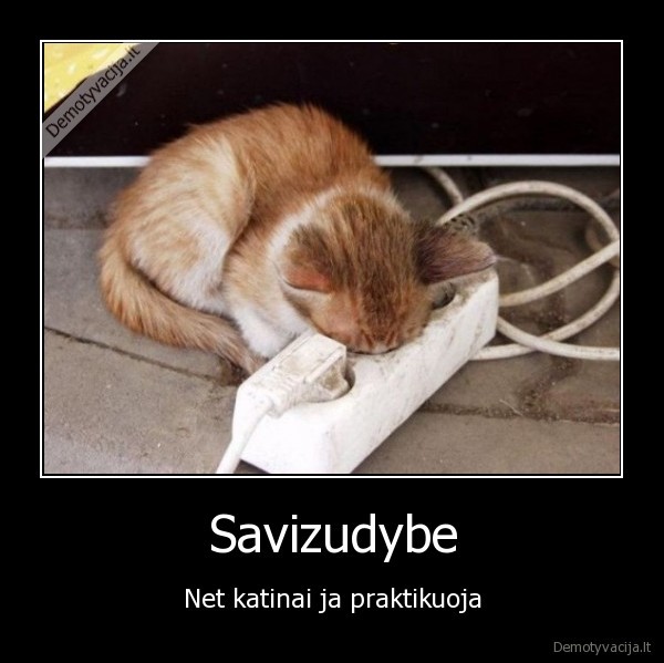 Savizudybe