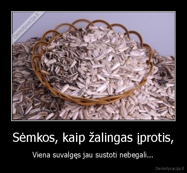 Sėmkos, kaip žalingas įprotis,