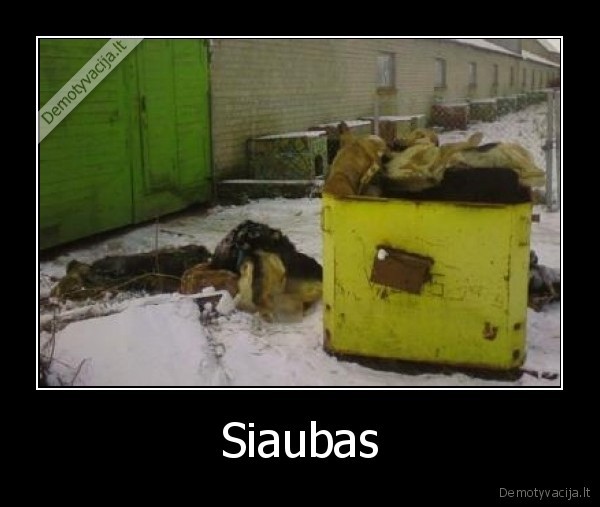 Siaubas