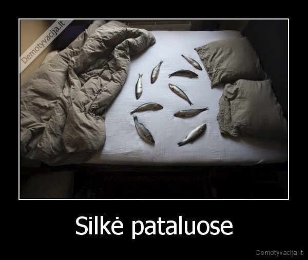 silke, pataluose,silke,wtf, nuotrauka