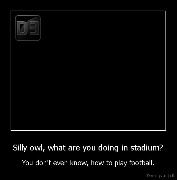 Silly owl, what are you doing in stadium?