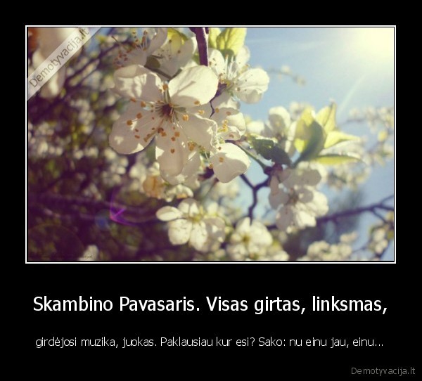 Skambino Pavasaris. Visas girtas, linksmas,