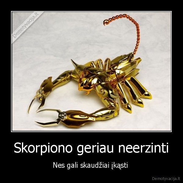 scorpion,skorpionas, skaudziai