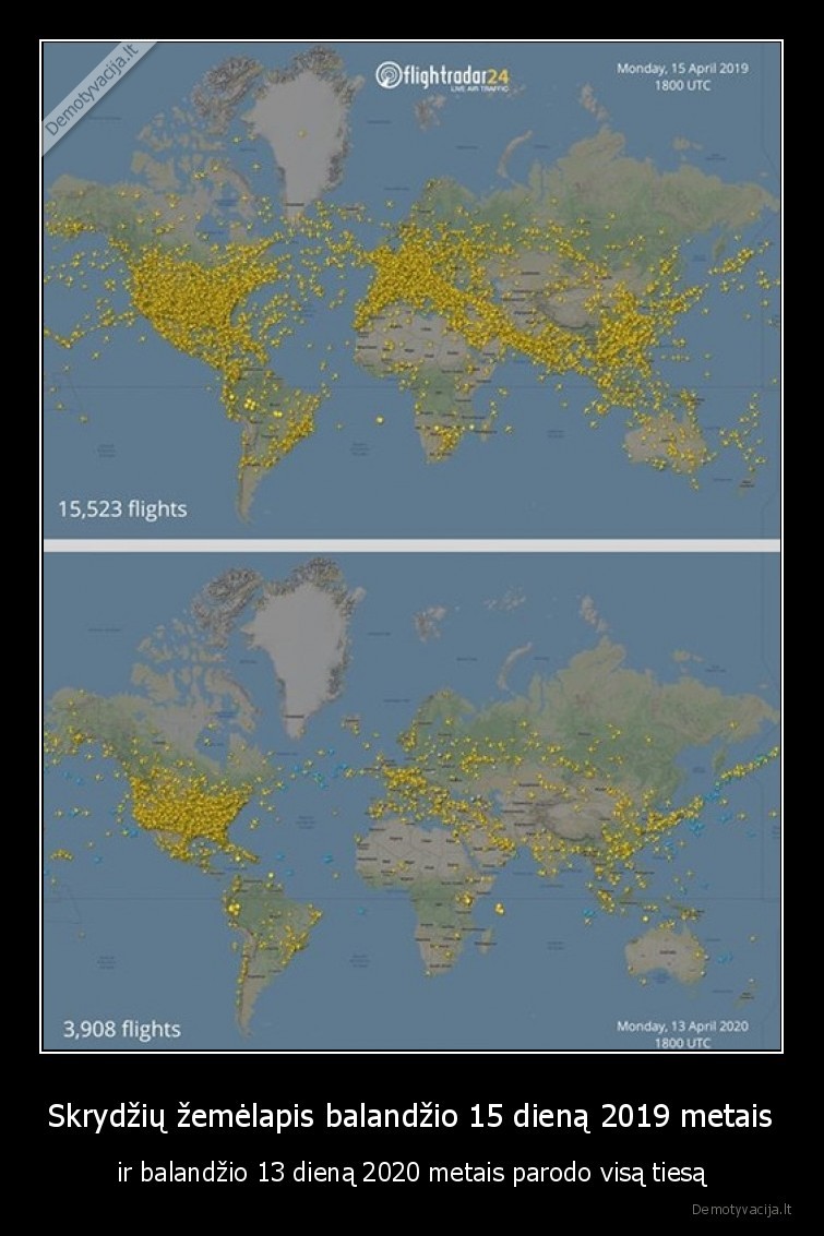 skrydziai,pandemija,amerika,skraido