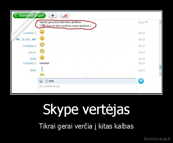 skype, vertejas