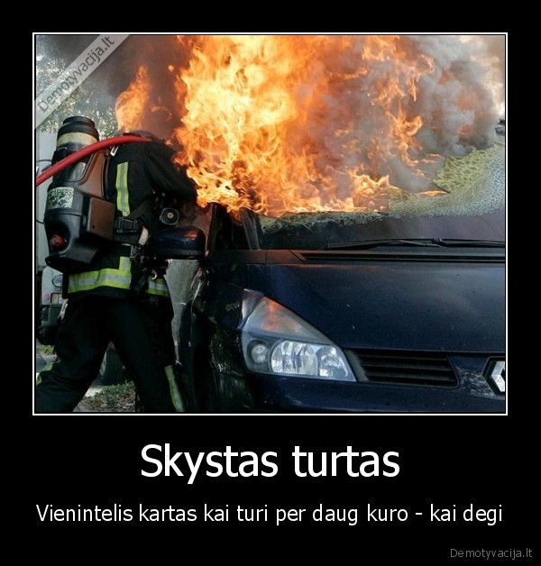 Skystas turtas