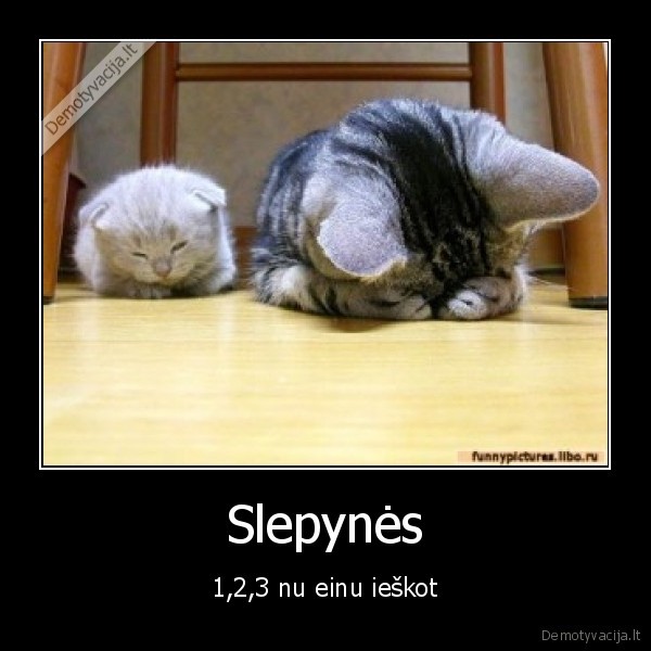 Slepynės