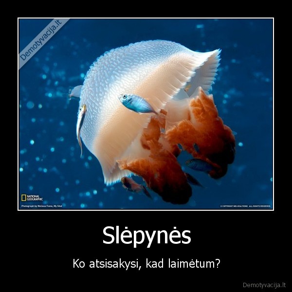 Slėpynės