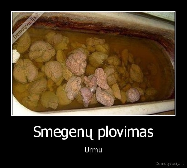 Smegenų plovimas