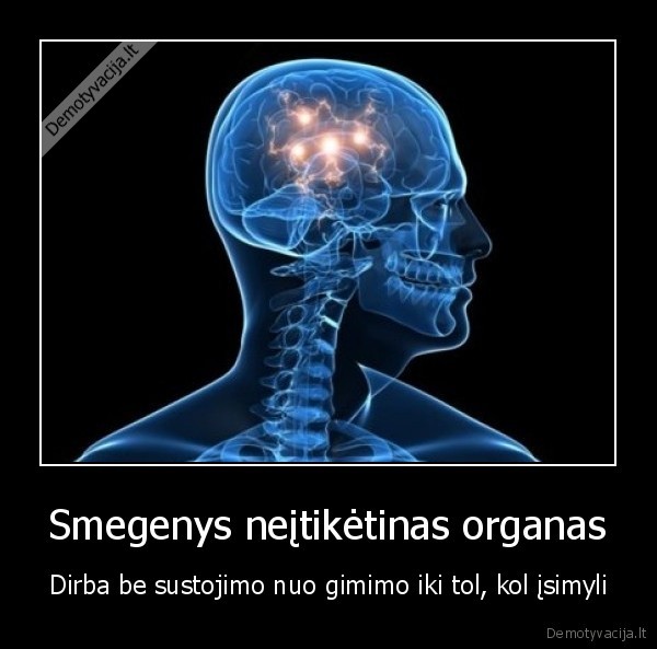 Smegenys neįtikėtinas organas