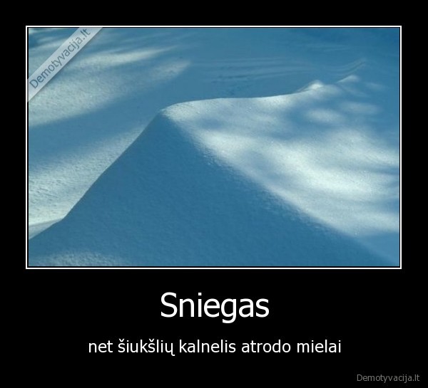 sniegas,ziema,siuksles