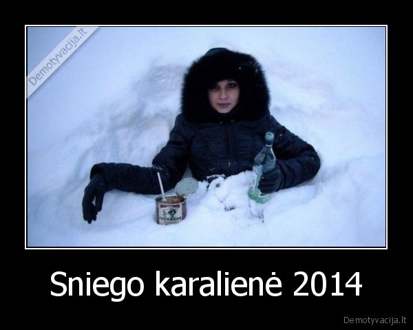 Sniego karalienė 2014