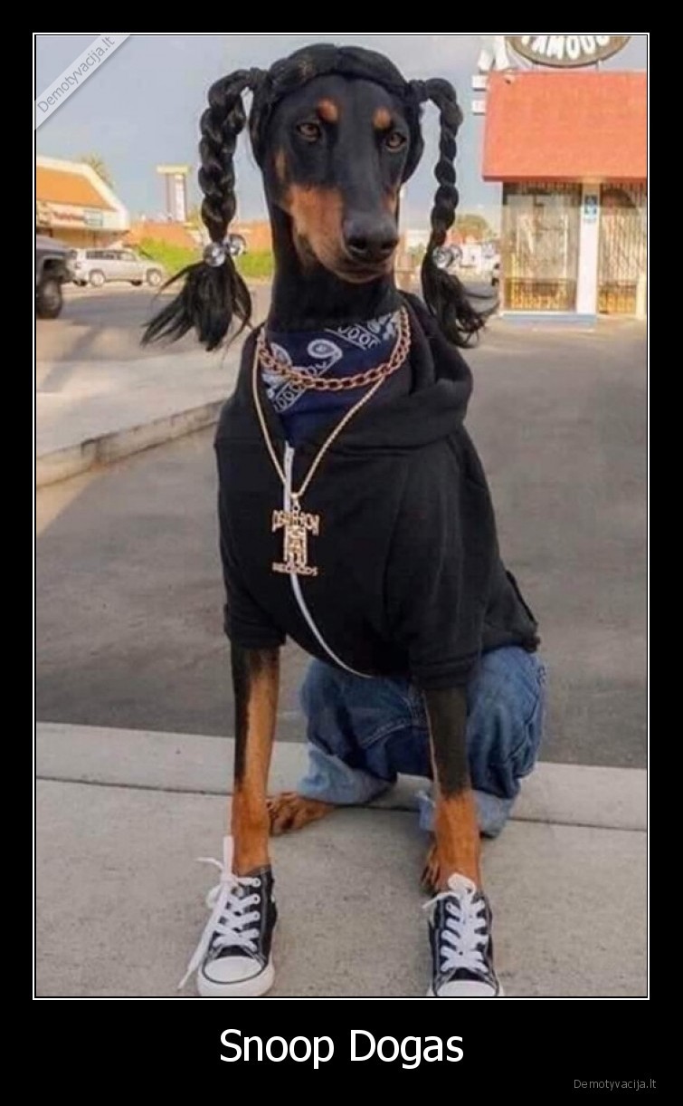 snoop, dog,suo