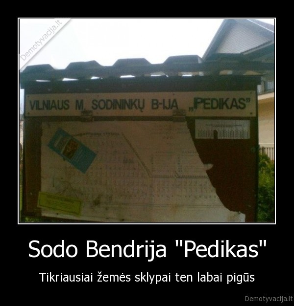 pedikas