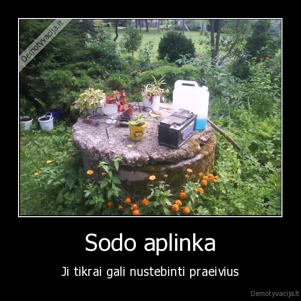 Sodo aplinka