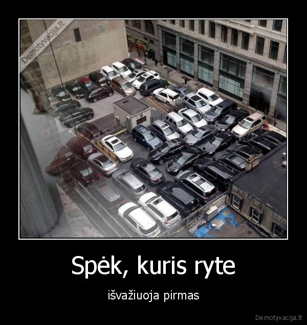 Spėk, kuris ryte