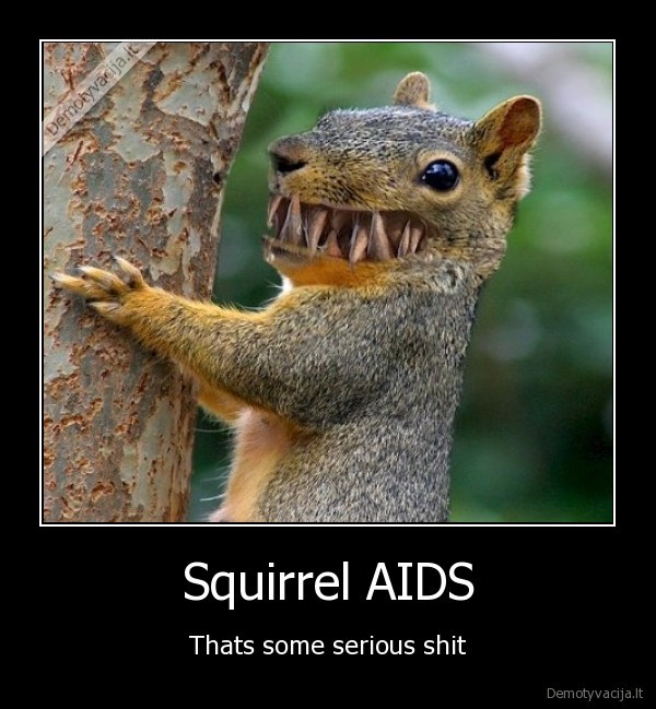 Squirrel AIDS