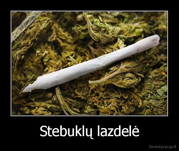 Stebuklų lazdelė