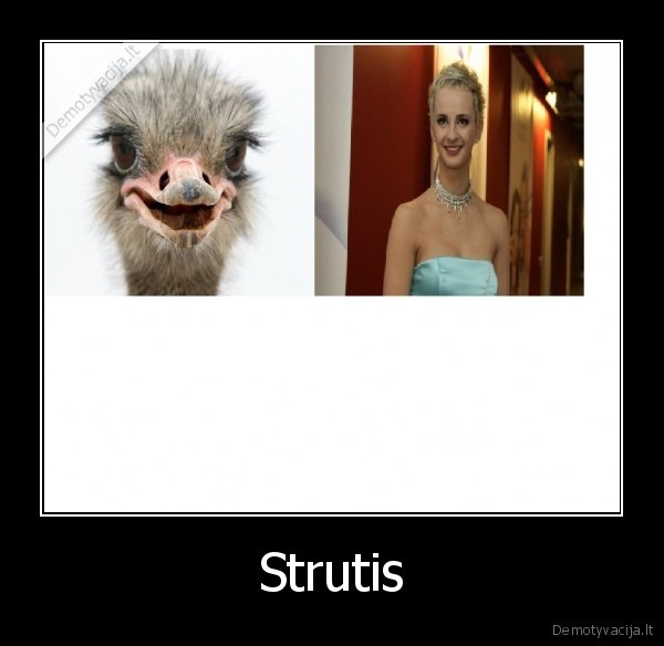 Strutis