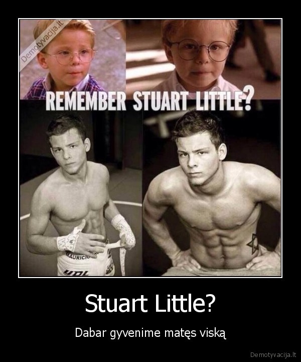 Stuart Little?