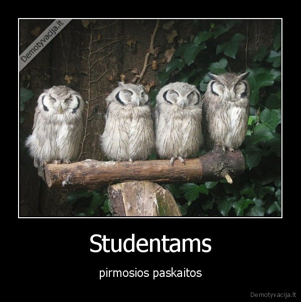 Studentams