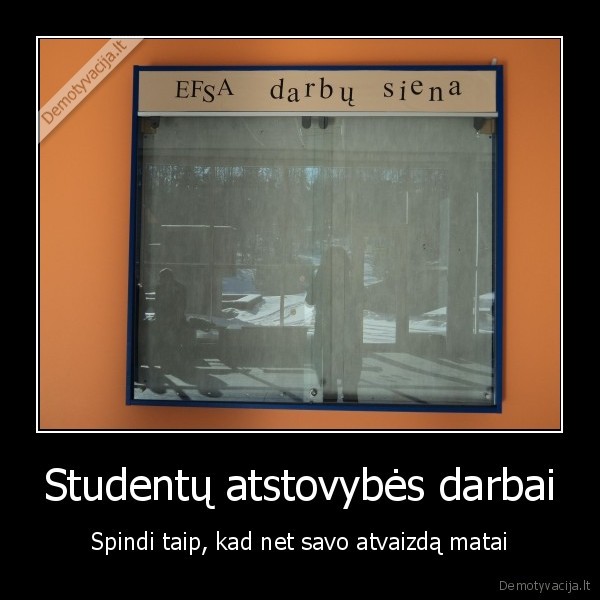 ef,vu, ef,studentai,darbas