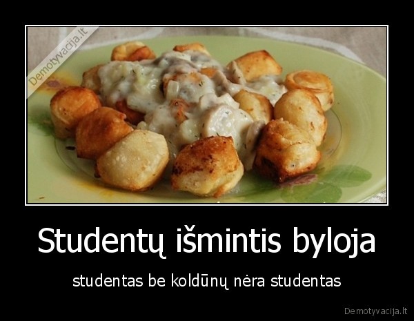 Studentų išmintis byloja