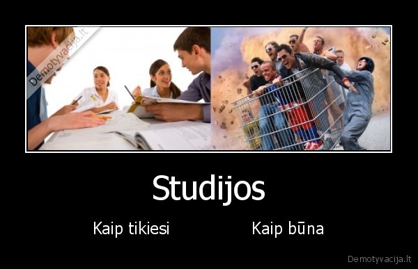 Studijos