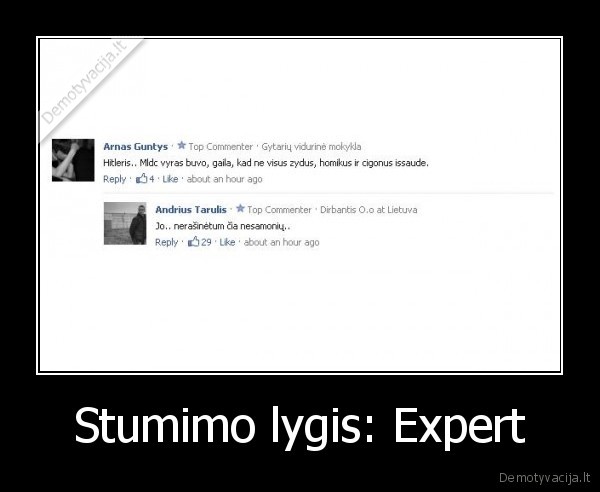 Stumimo lygis: Expert