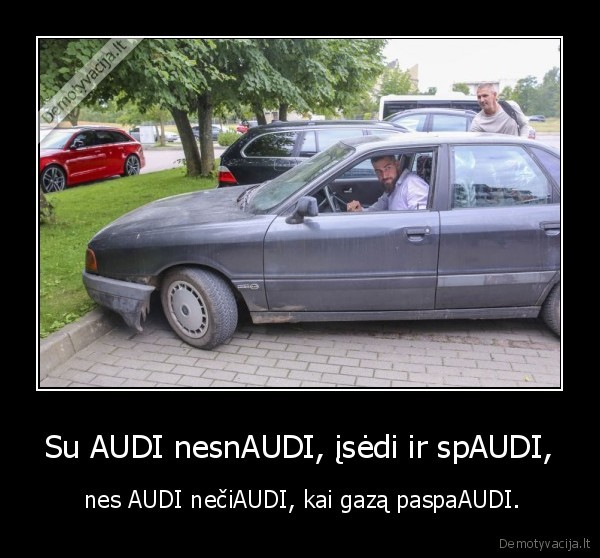 valanciunas,audi,krepsinis