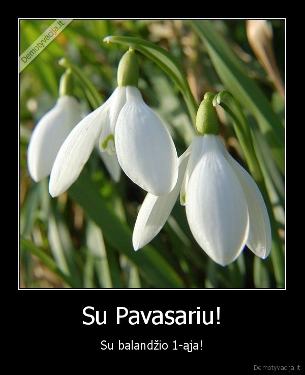 pavasaris