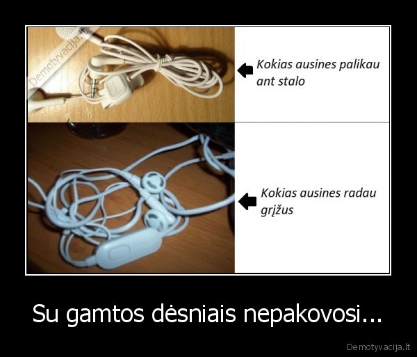 Su gamtos dėsniais nepakovosi...