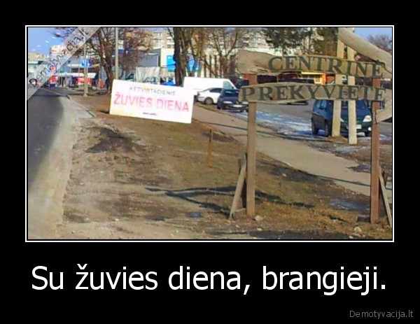 Su žuvies diena, brangieji.