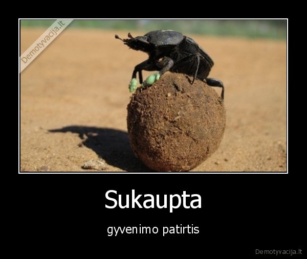 Sukaupta