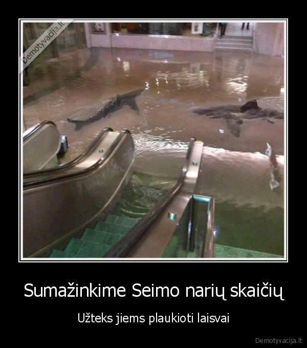 sumazinkime, seimo, nariu, skaiciu