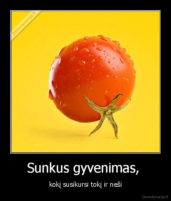 Sunkus gyvenimas, 