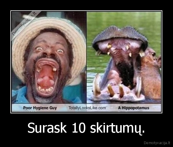 Surask 10 skirtumų.