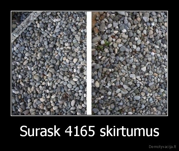 Surask 4165 skirtumus