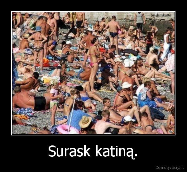 Surask katiną.