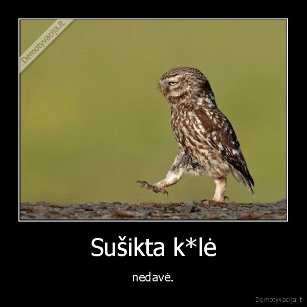 Sušikta k*lė