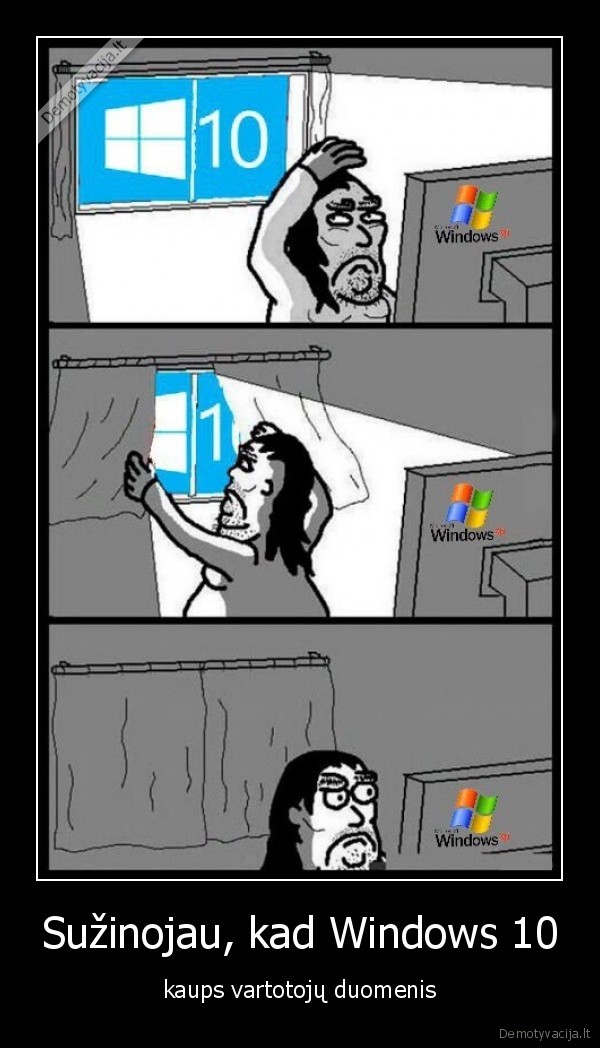 windows, 10