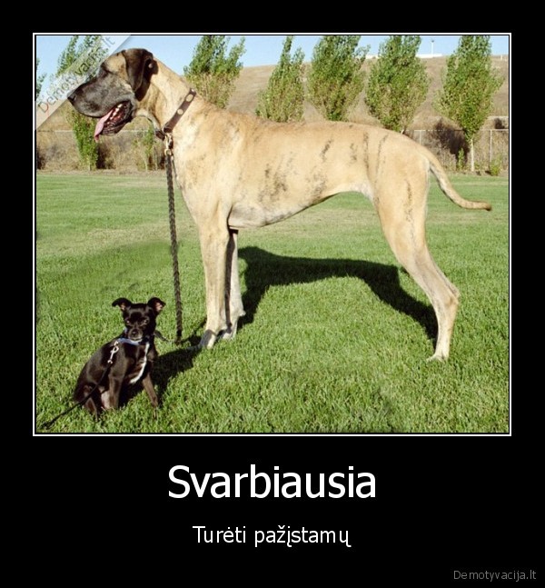 Svarbiausia