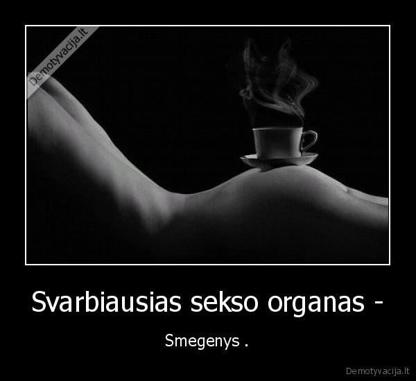 seksas,organas,smegenys, 