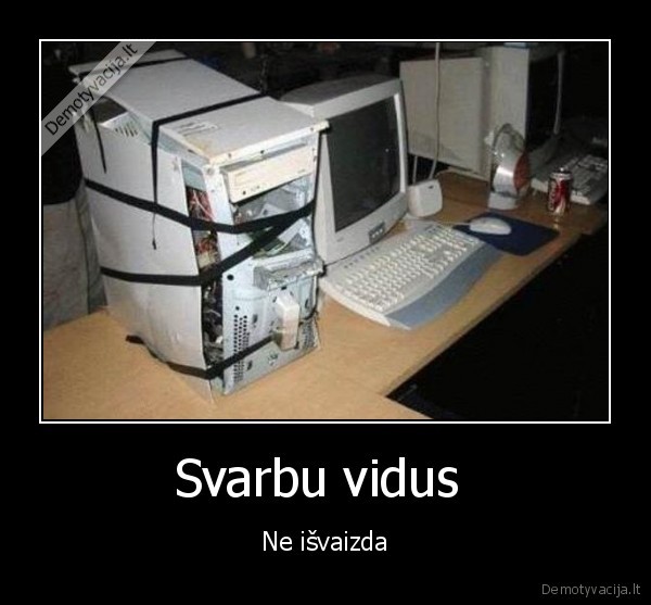 Svarbu vidus 