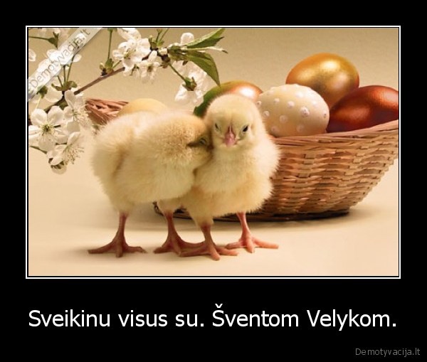 su, velykom