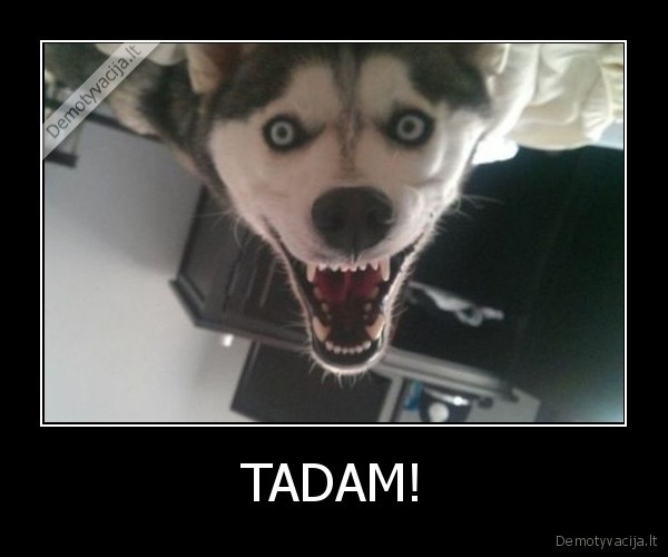 TADAM!