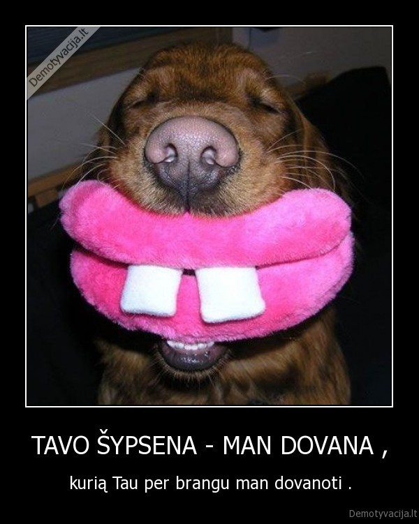 TAVO ŠYPSENA - MAN DOVANA ,